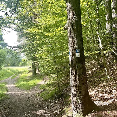 Landhotel Hubertus Unterelsbach Exteriör bild