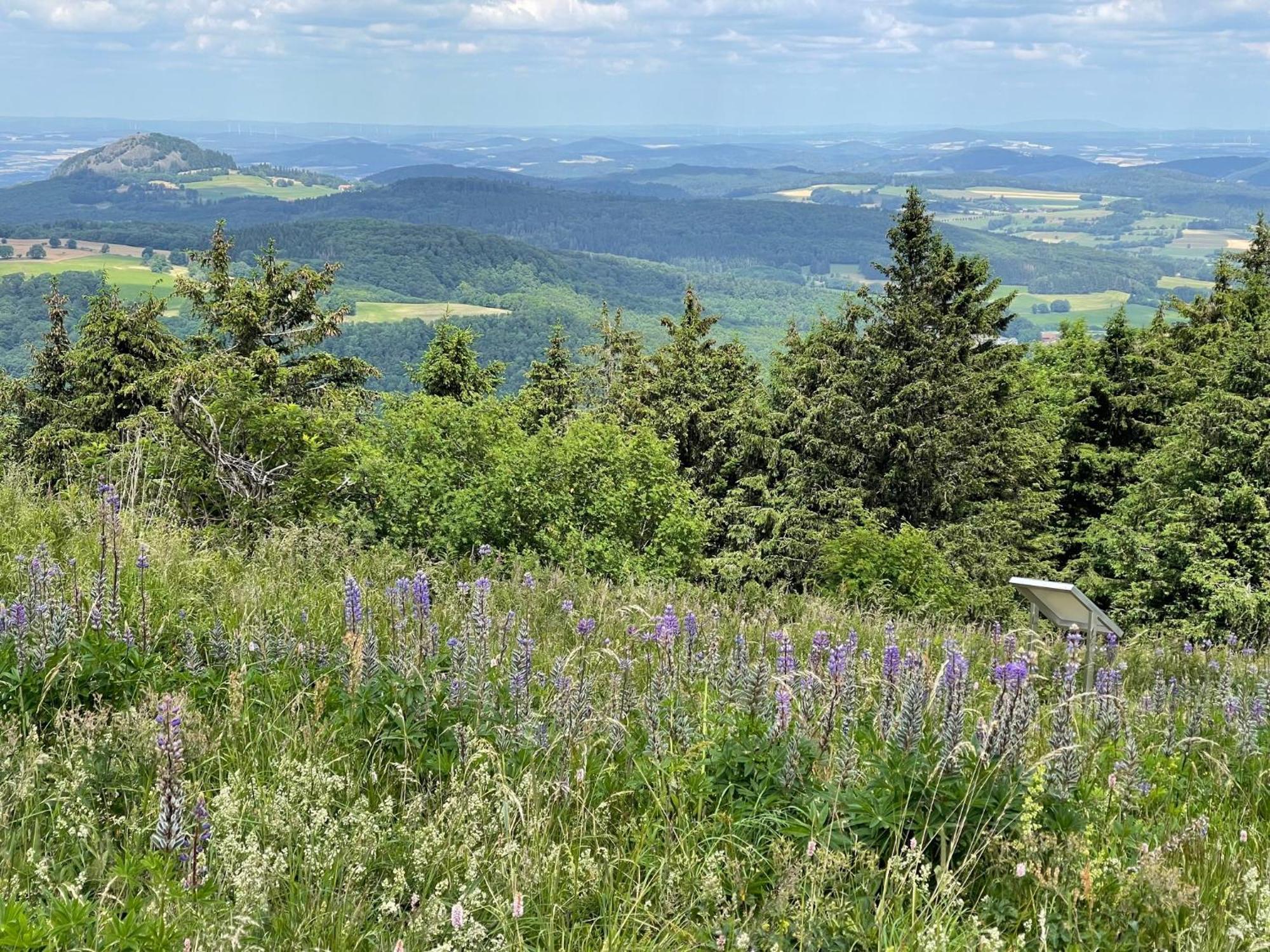 Landhotel Hubertus Unterelsbach Exteriör bild