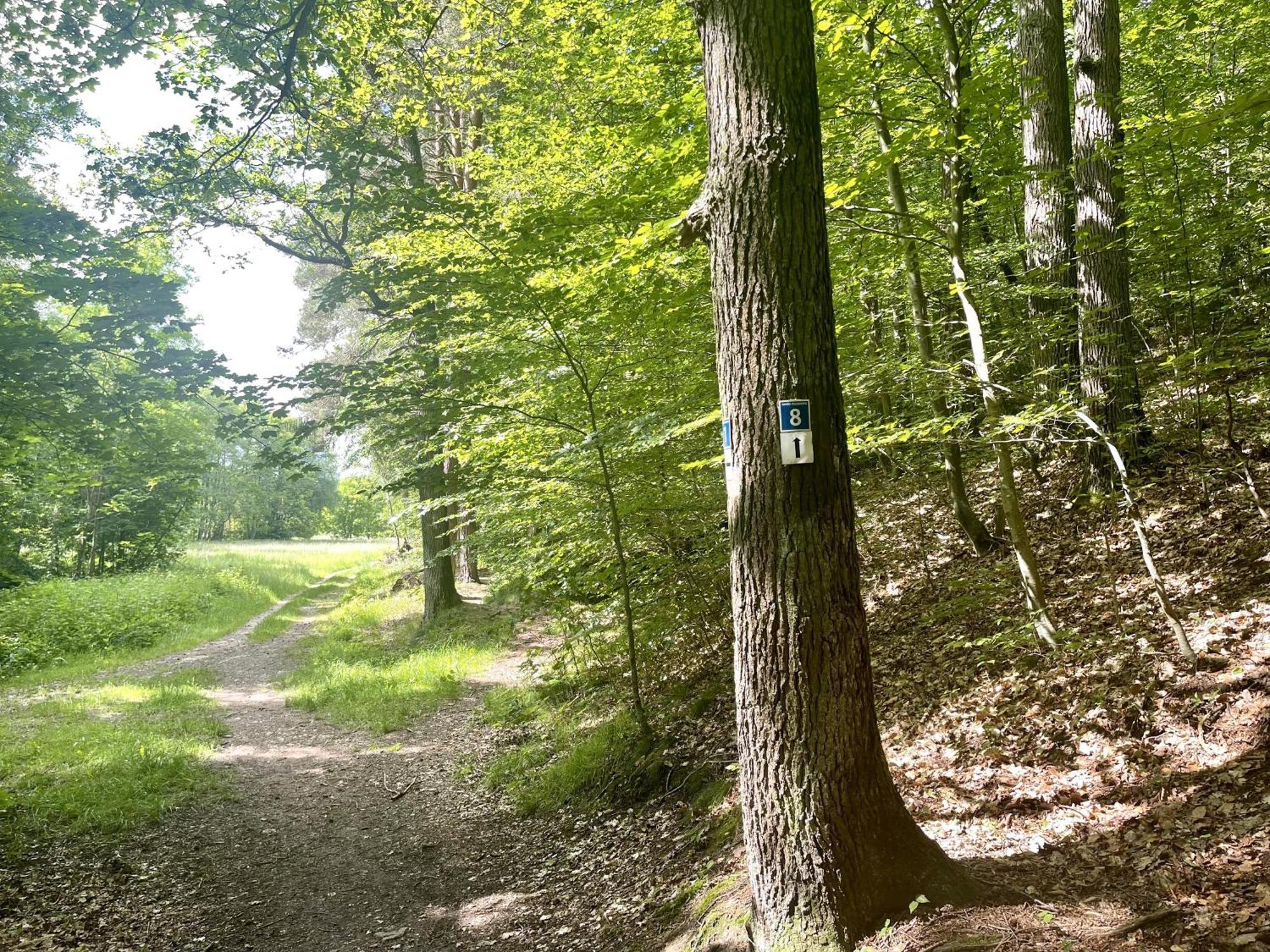 Landhotel Hubertus Unterelsbach Exteriör bild