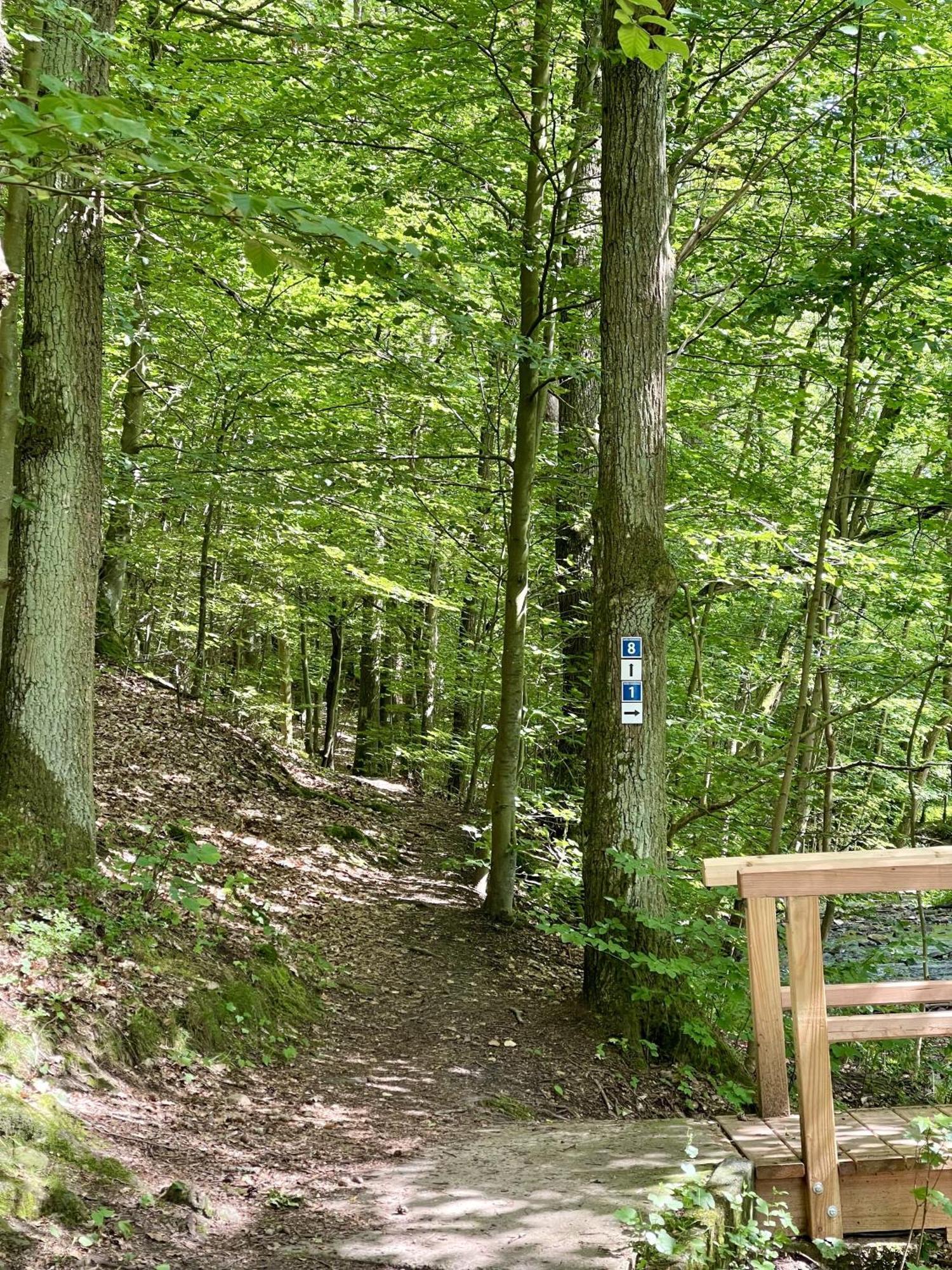 Landhotel Hubertus Unterelsbach Exteriör bild